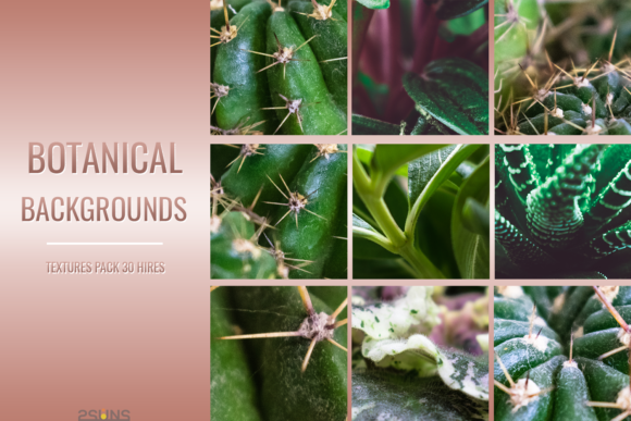Download Botanical Textures Pack Backgrounds - Backgrounds Collection
