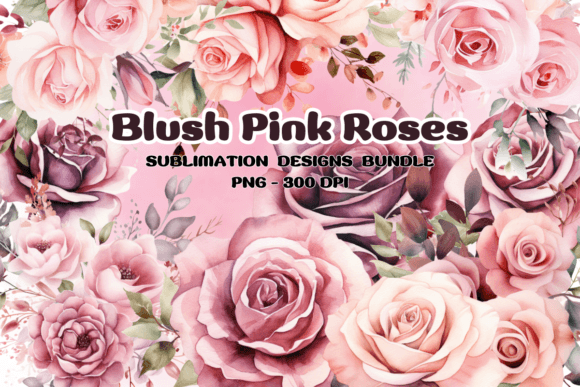 Download Blush Pink Roses Flowers Watercolor PNG - Premium Bundle